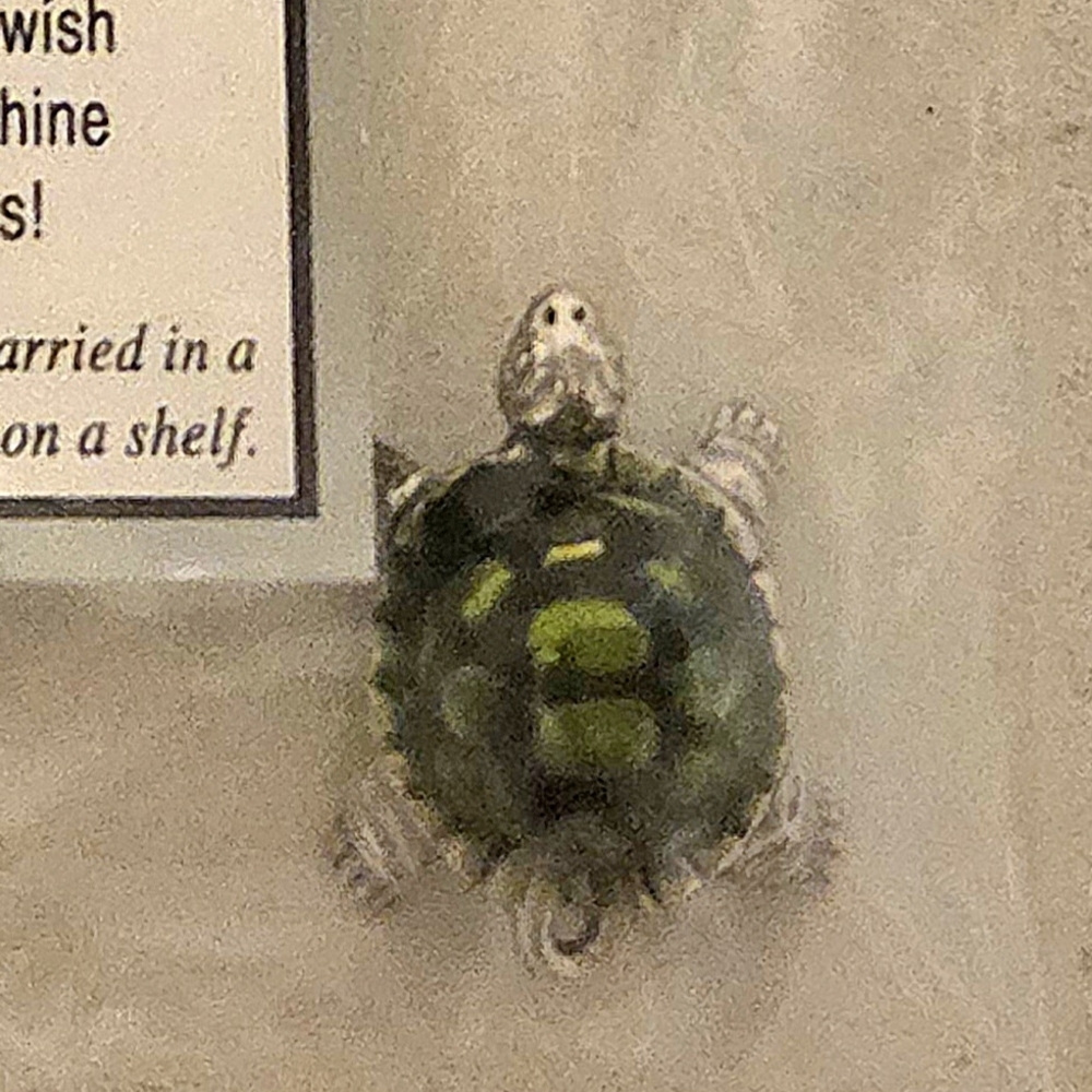 GANZ Green and Gray Turtle Ornament